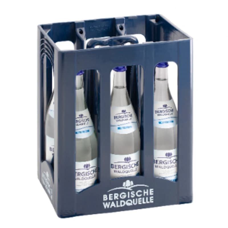 Bergische Waldquelle Natur 6x1l