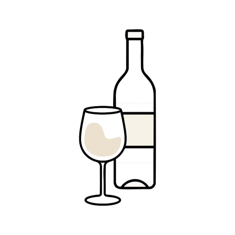 Südtiroler Winzerkeller Pinot Grigio DOC 0,75l